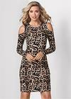 Front View Leopard Print Dress