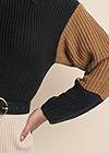Detail front view Belted Color Block Sweater Dress