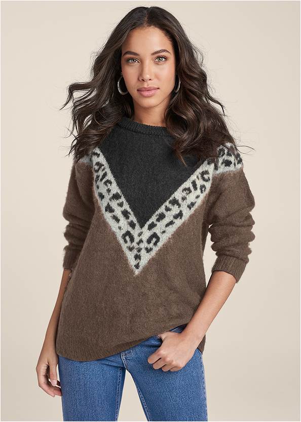 Front View Leopard Stripe Sweater