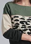 Alternate View Printed Color Block Sweater