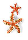 Alternate View Starfish Earrings