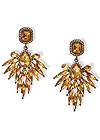 Front View  Embellished Drop Earrings