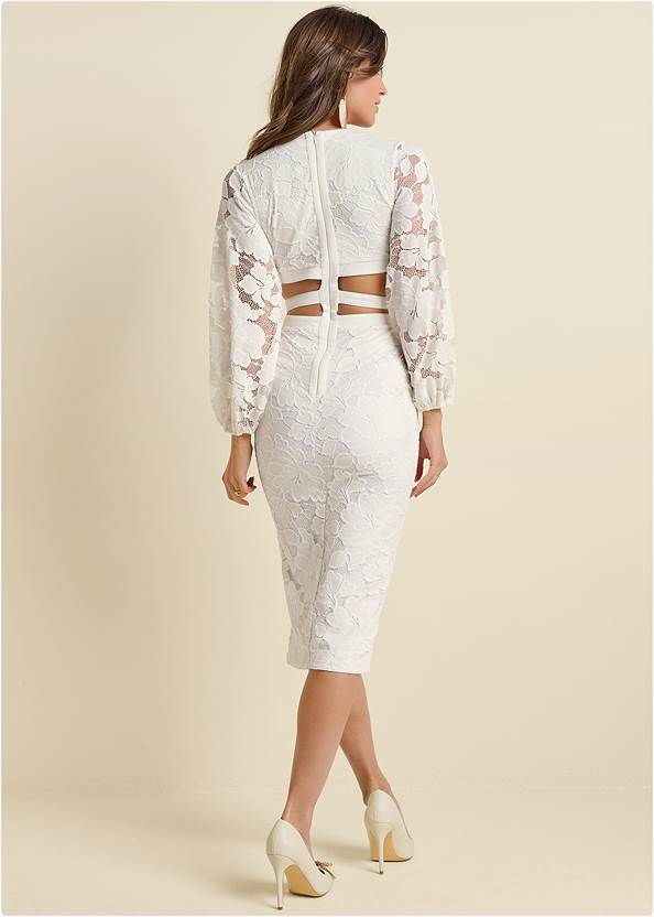 Back View Lace Fitted Cutout Dress