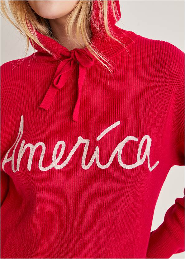 Alternate View America Hoodie Sweater